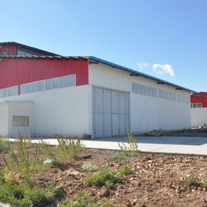 DSC_0156 (Medium) DSC_0156 (Medium)