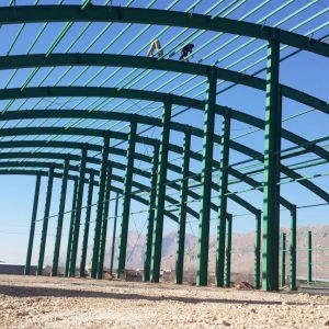 photo_2017-05-15_08-56-00 (Medium)