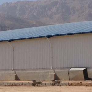 آریان سرنگ 2