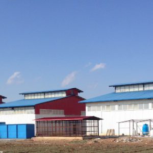 رویین باطری2 (Small)