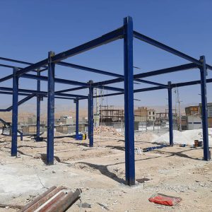 پزشکی قانونی (2)