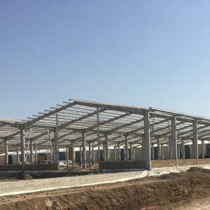 سوله کدبانو-دلپذیر (6) (Medium)